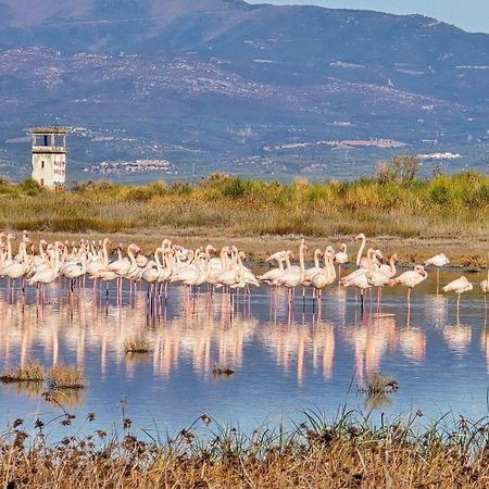 Flamingo View Suites & Villas Nea Poteidaia Bagian luar foto