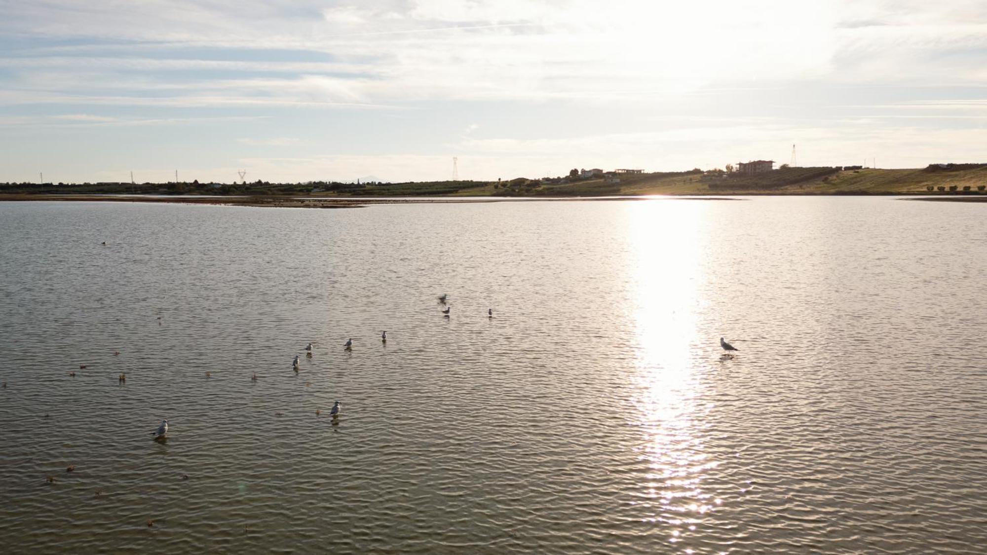Flamingo View Suites & Villas Nea Poteidaia Bagian luar foto