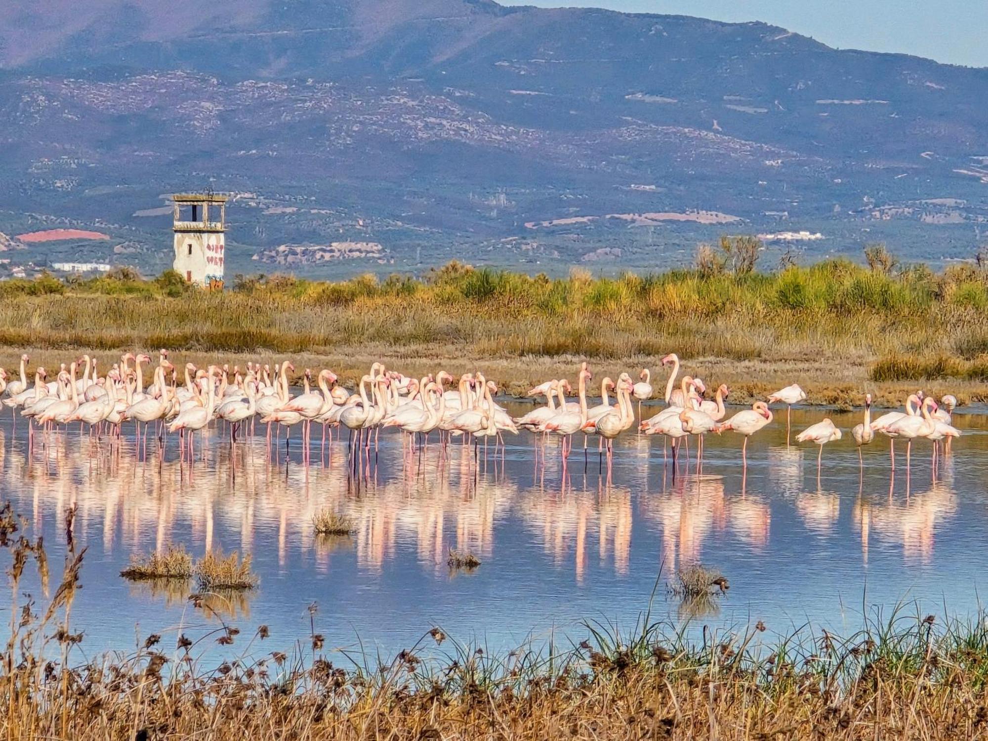 Flamingo View Suites & Villas Nea Poteidaia Bagian luar foto